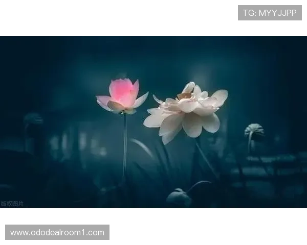 必赢中国官网客户服务中心指南，解决游戏中遇到的各种问题与疑问