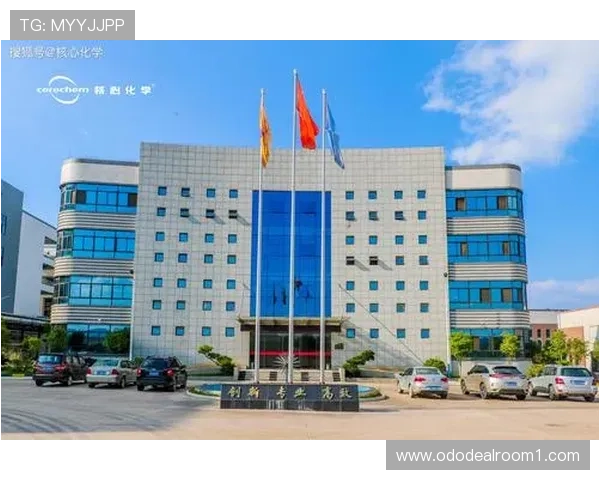 必赢集团在行业中的核心竞争优势与创新能力深度剖析